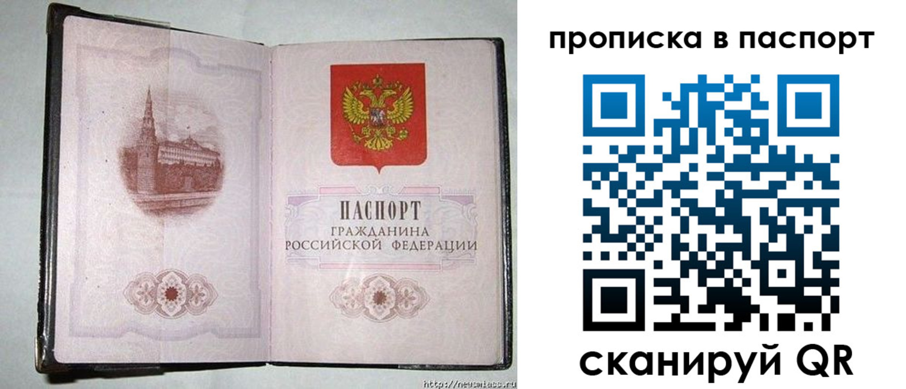 прописка штамп в Новоузенске